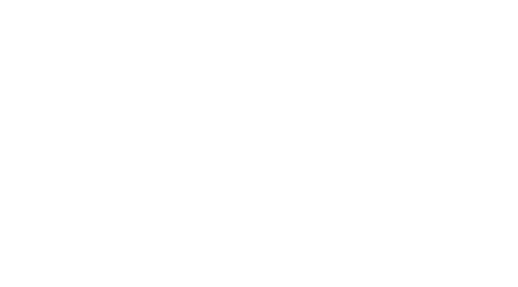 Network West Midlands logo