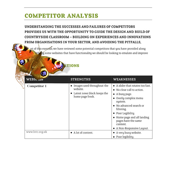 Countryside Classroom competitor website consultancy