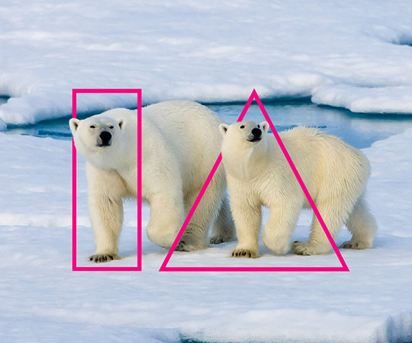 Polar bears shown through the window of the IA logo outline